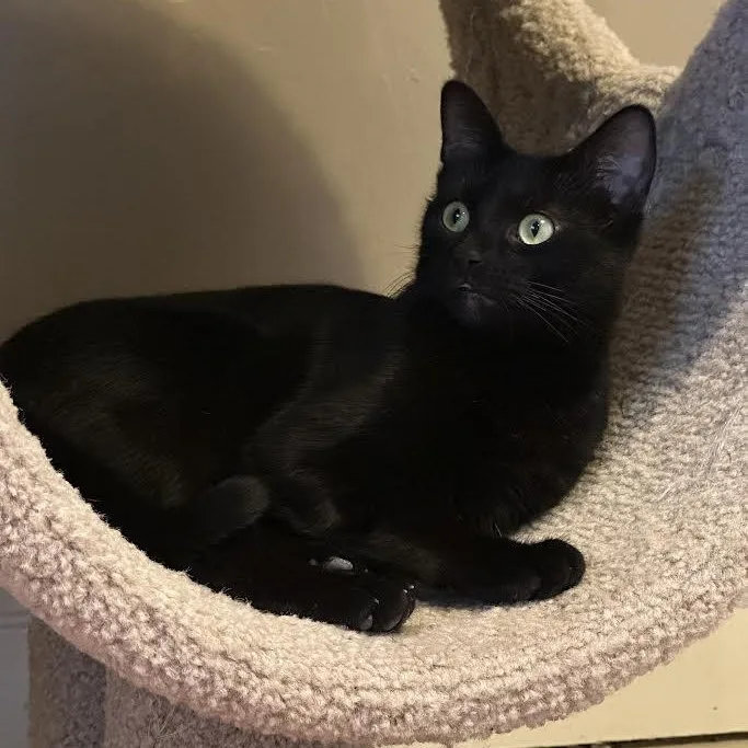 Malibu Delgado thumbnail 3