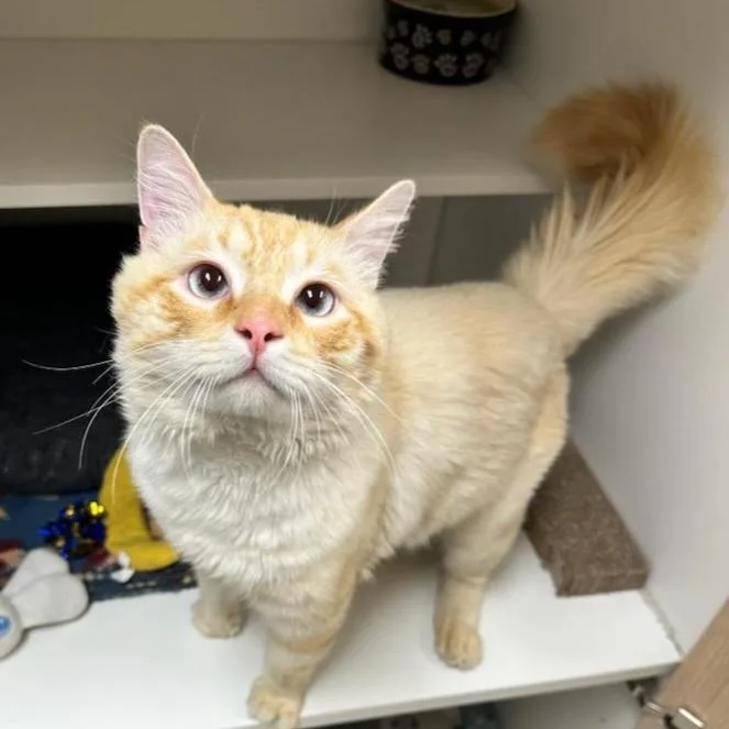 Pretty Boy Floyd thumbnail 3