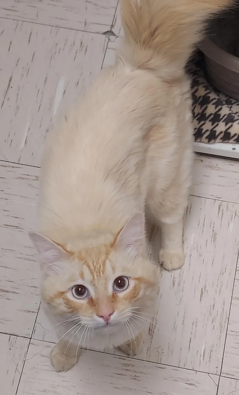 Pretty Boy Floyd thumbnail 4