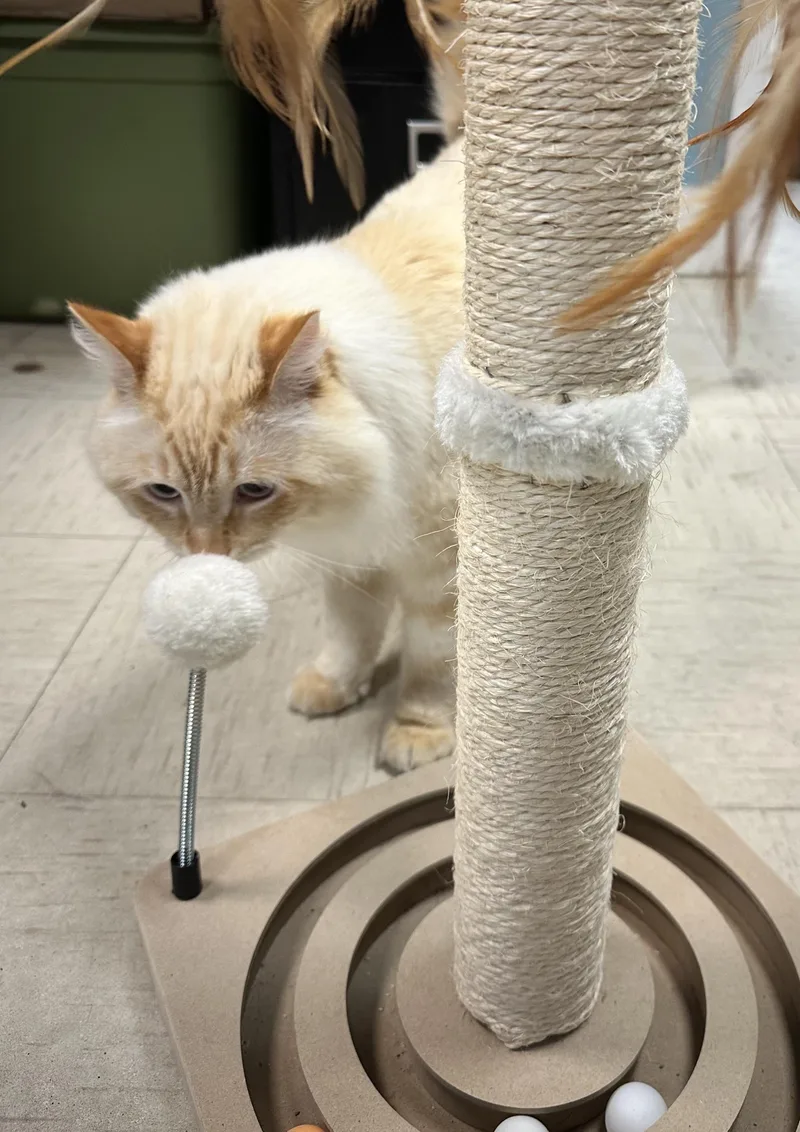 Pretty Boy Floyd thumbnail 5