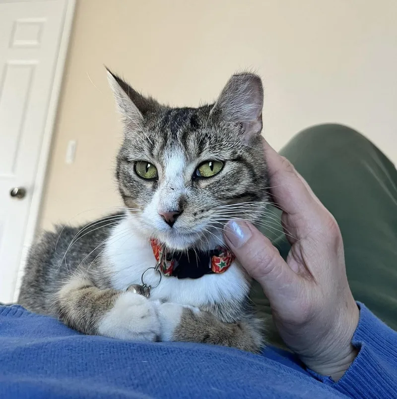 Josie thumbnail 2
