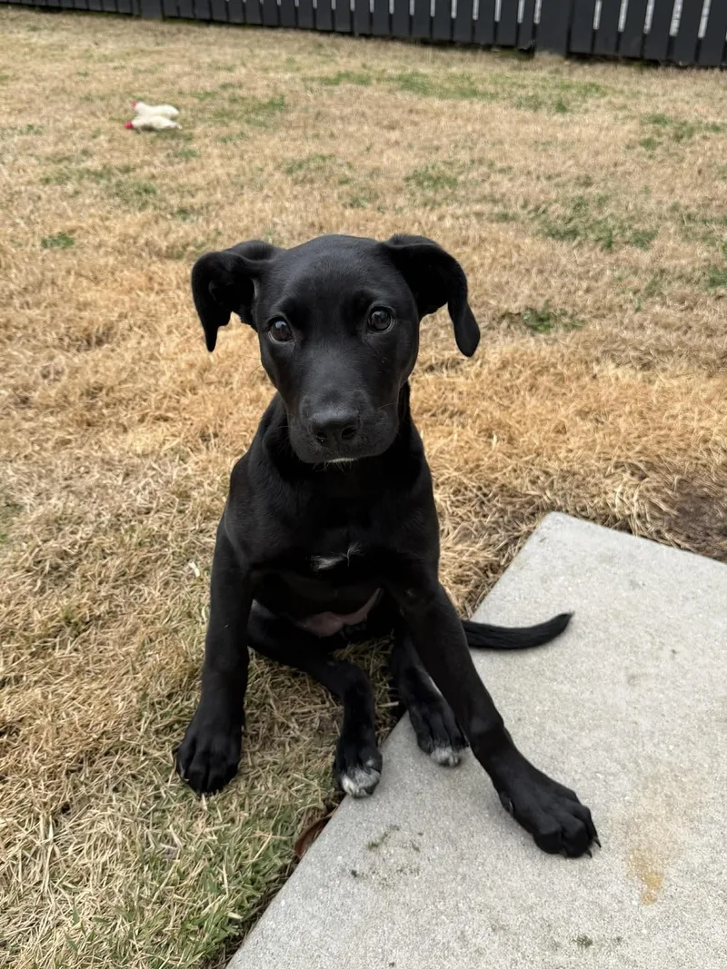 Joviespecial Needs thumbnail 2