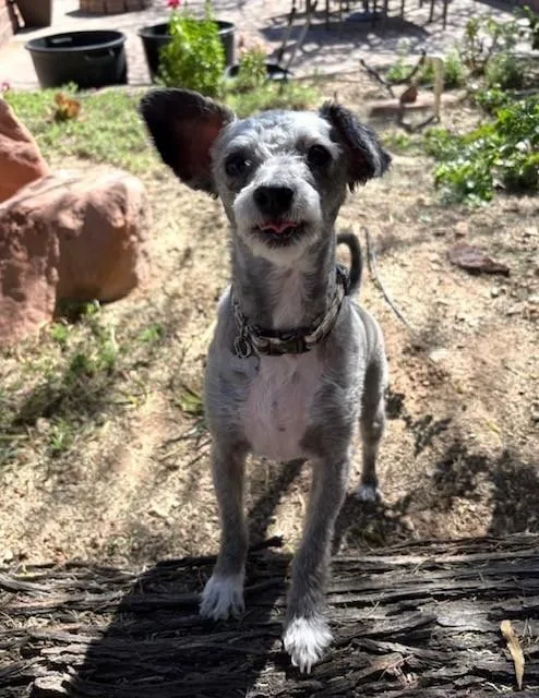 Dunn Aka Archie thumbnail 2