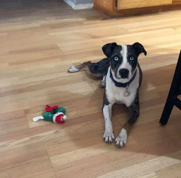 Sapphire thumbnail 6