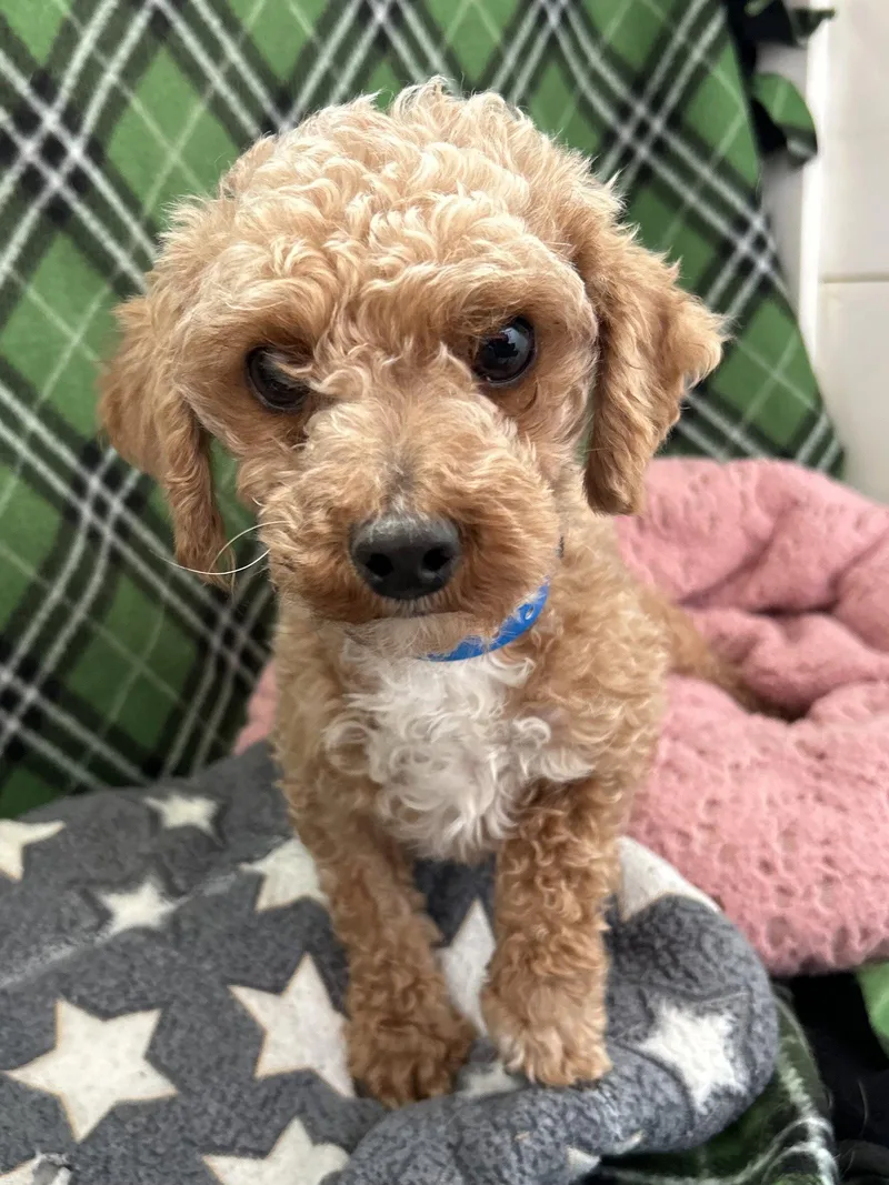 Mochi Mar thumbnail 2