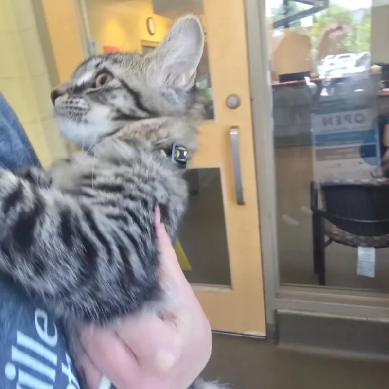 Cuddle Feets thumbnail 4