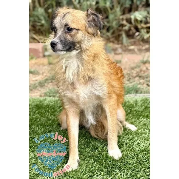 Winston Hb thumbnail 2