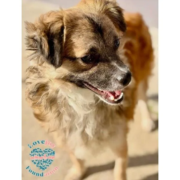 Winston Hb thumbnail 3