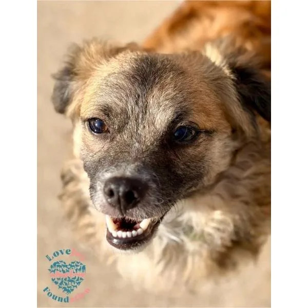 Winston Hb thumbnail 4