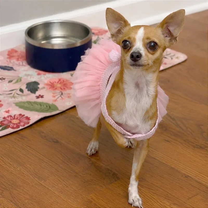 Minnie Cooper thumbnail 3