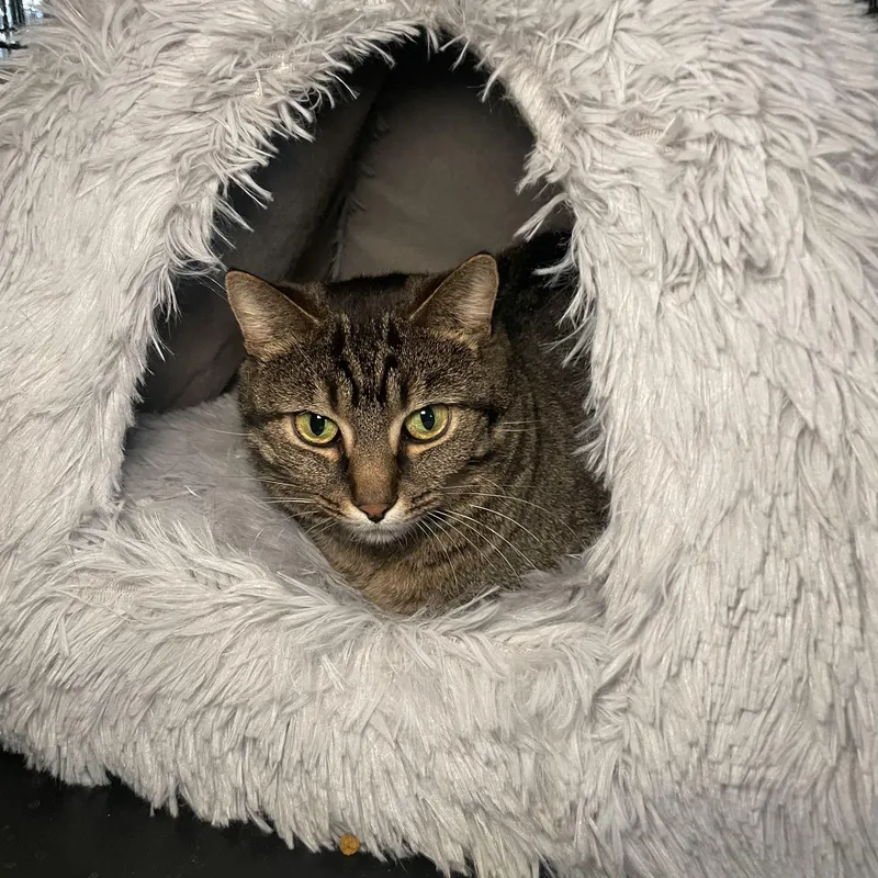 Charlotte And Amelia thumbnail 2