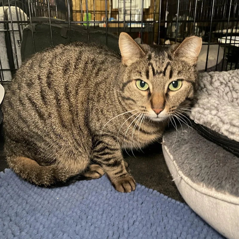 Charlotte And Amelia thumbnail 3