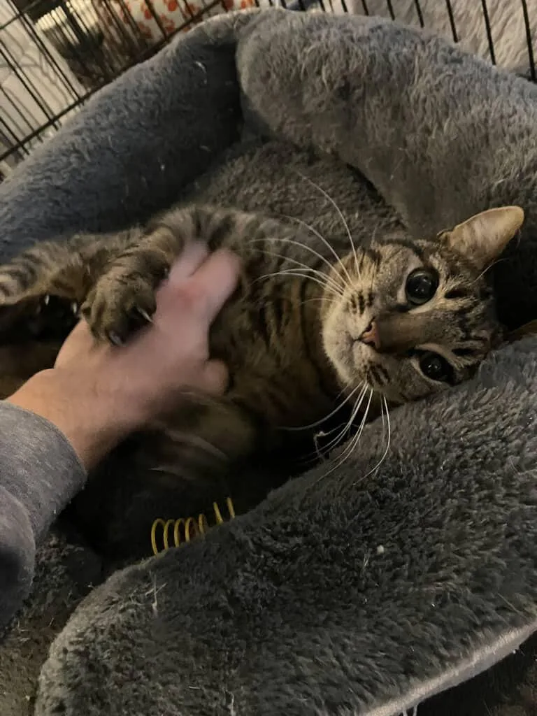 Charlotte And Amelia thumbnail 4