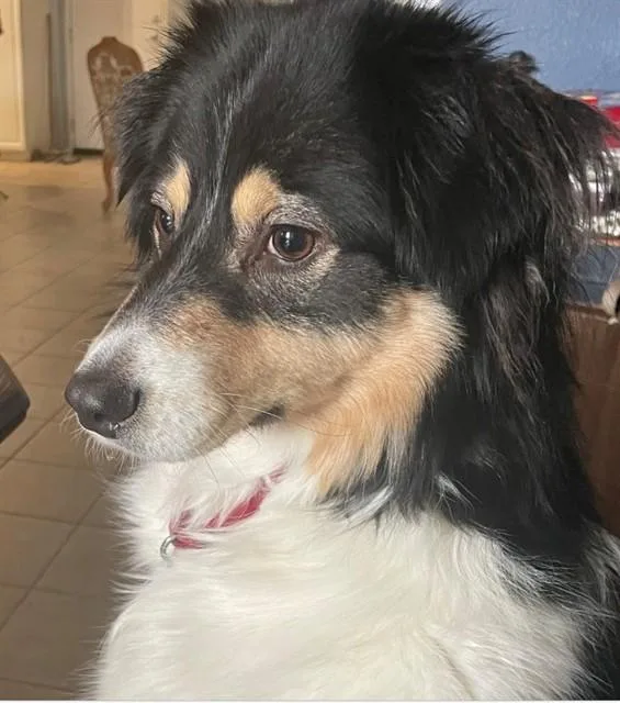 Charlie