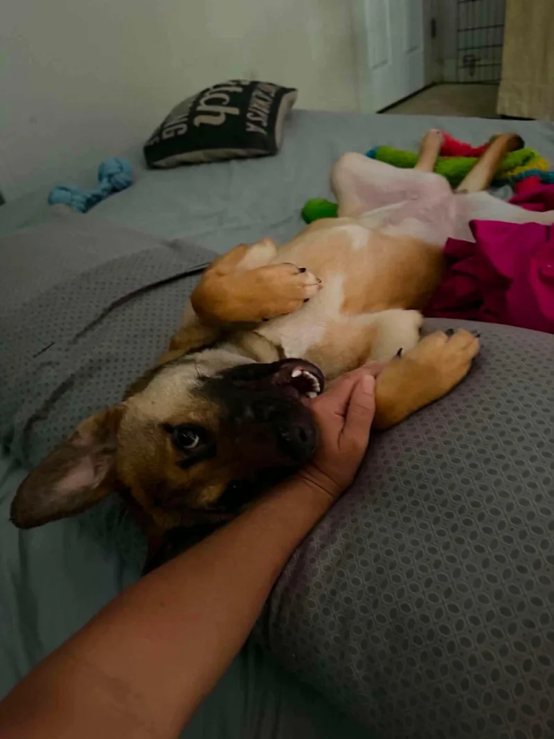 Tina thumbnail 4