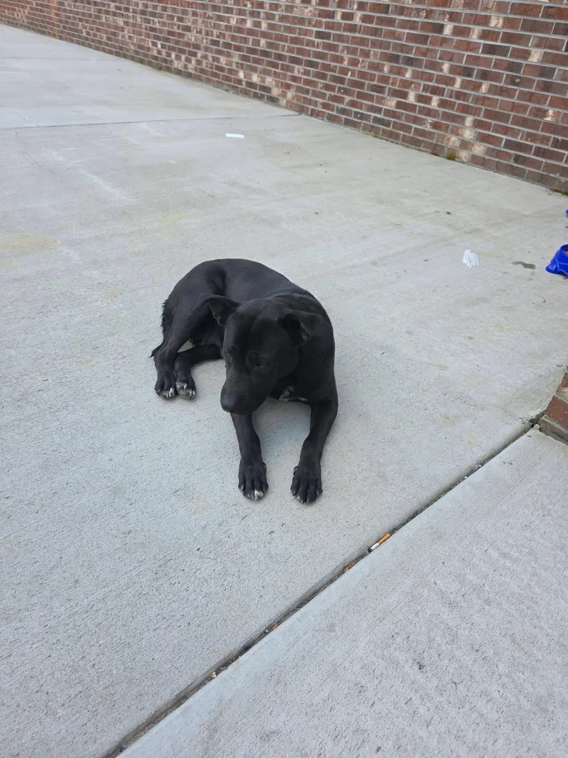 Remyformer Dollar General Employee