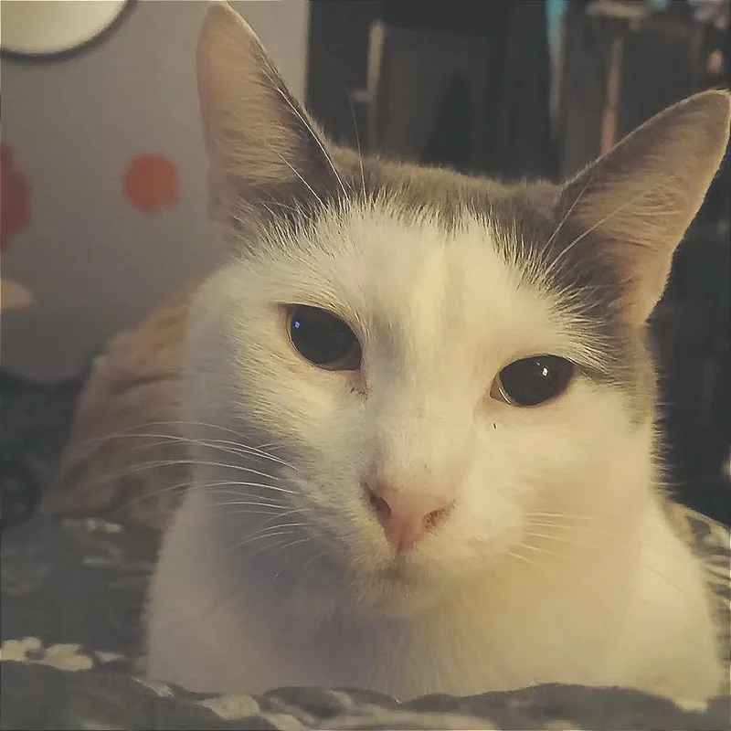 Janine Mewnitz thumbnail 2