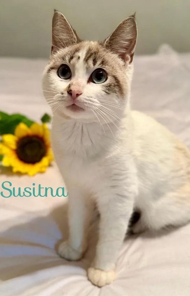 Susitna thumbnail 2