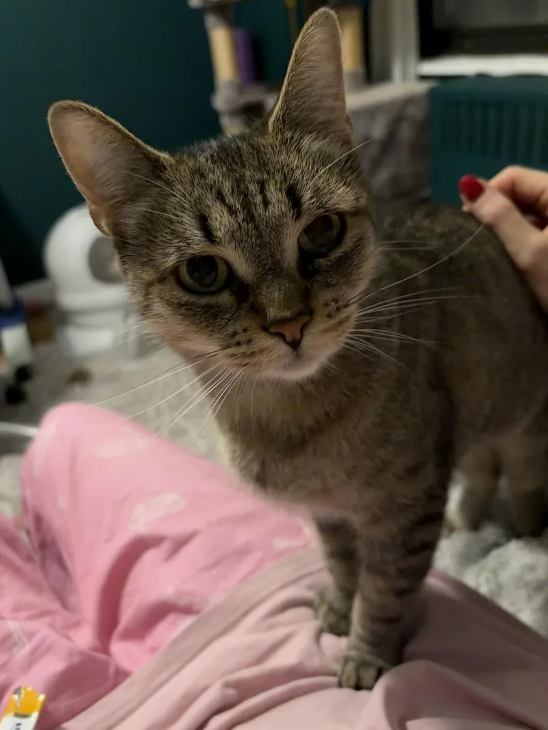 Wonderful Winnie thumbnail 3