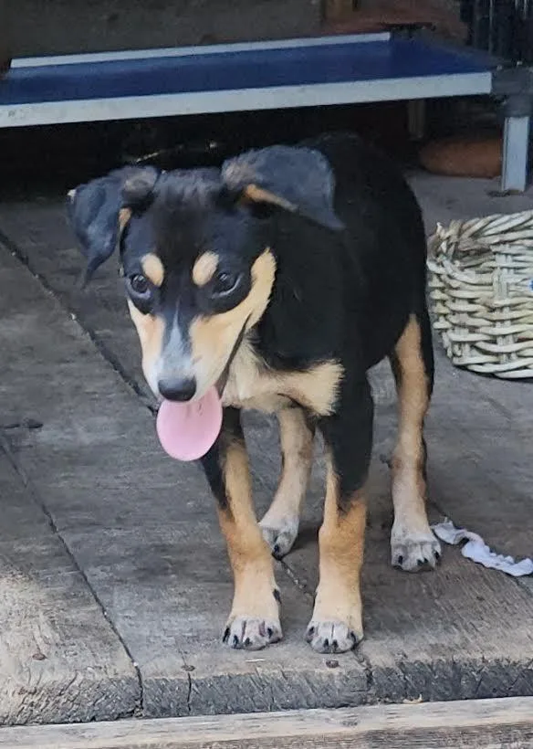 Xena