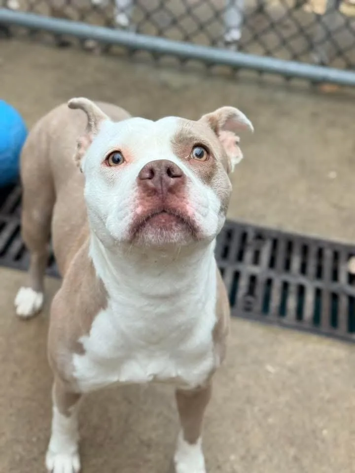 Rainforest thumbnail 2