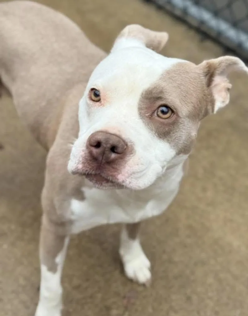 Rainforest thumbnail 3