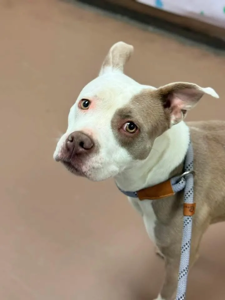 Rainforest thumbnail 4