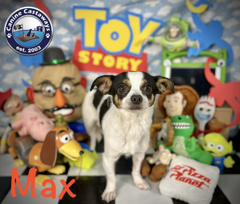 Max thumbnail 2