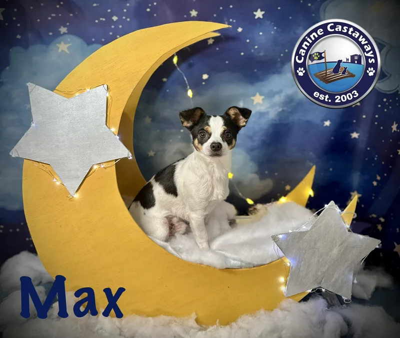 Max thumbnail 3