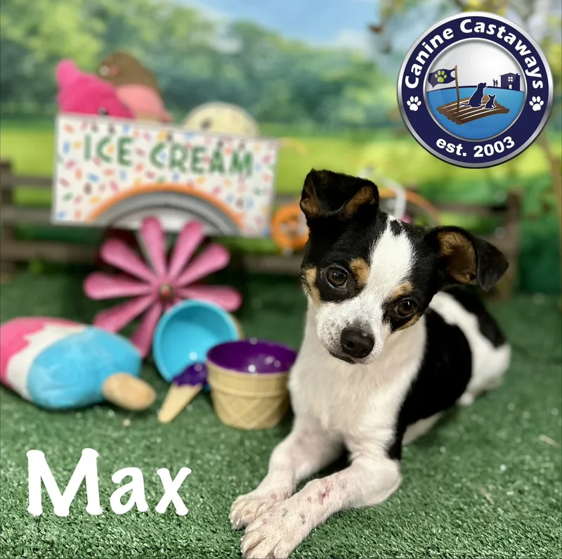 Max thumbnail 4