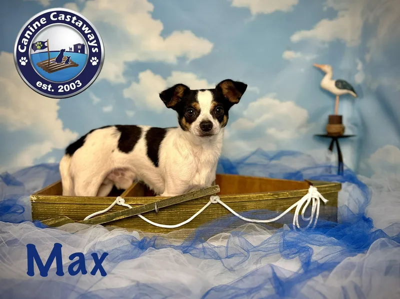 Max thumbnail 5