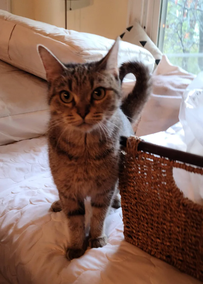 Moana  Lovely & thumbnail 3