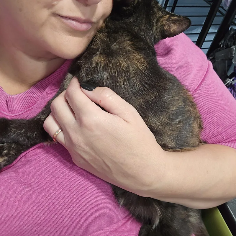 Bonnie thumbnail 2