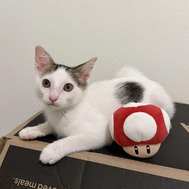 Mario thumbnail 2