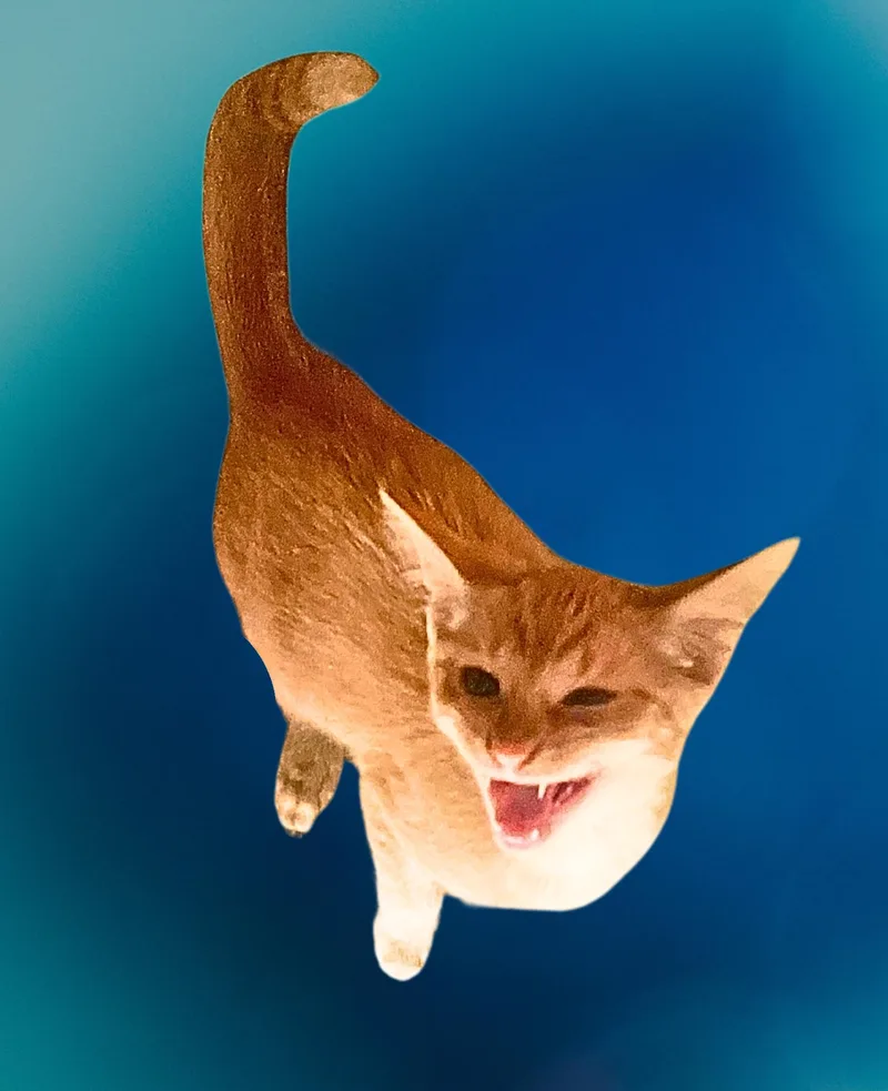 Tigger Cm thumbnail 3