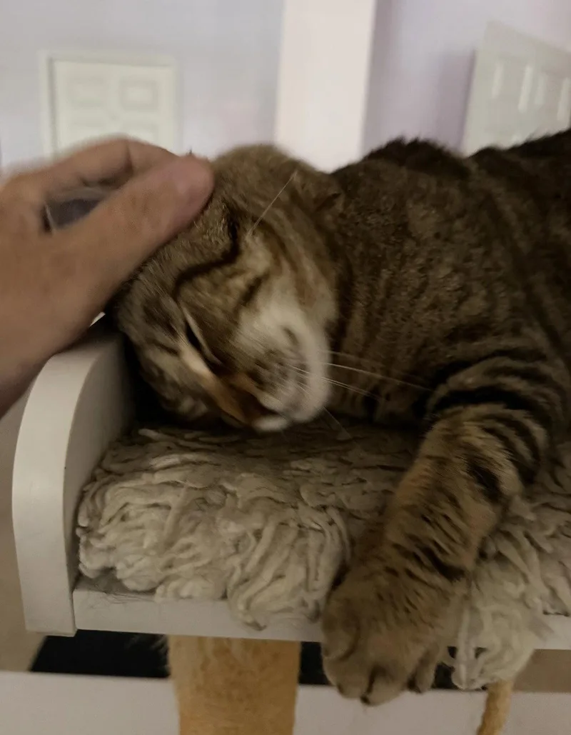 Kal Kal thumbnail 3