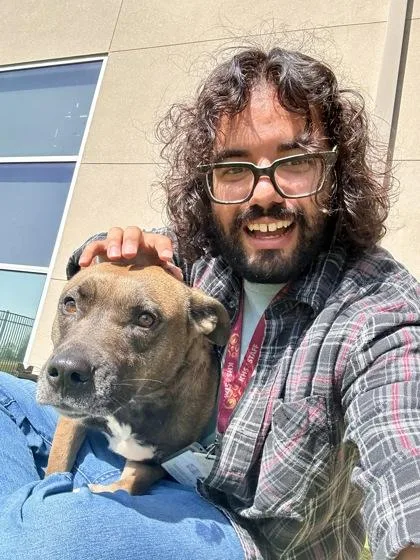 An adult large-sized female Brown / Chocolate Mixed Breed dog named Reece for adoption in Wichita, KS
