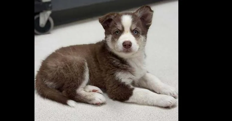 Brave Hearts: Arrow thumbnail 2