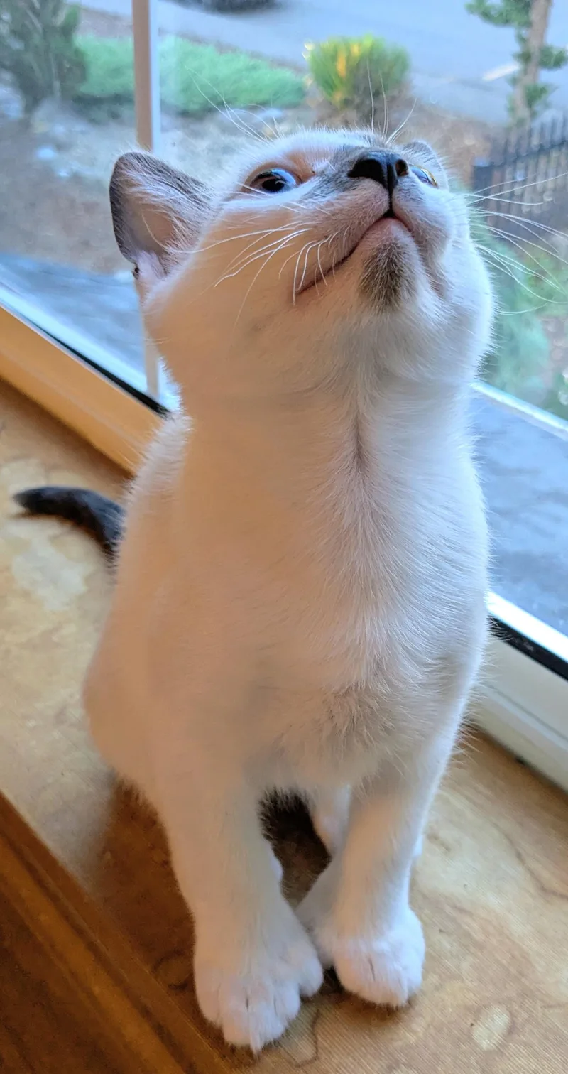 Prosecco thumbnail 3