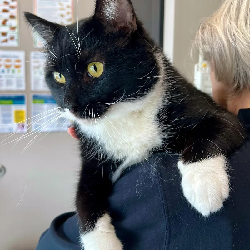 Jackie Boy thumbnail 5