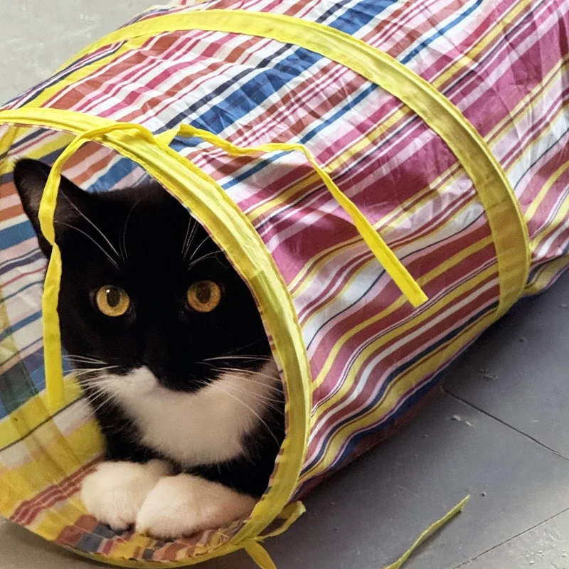 Jackie Boy thumbnail 6