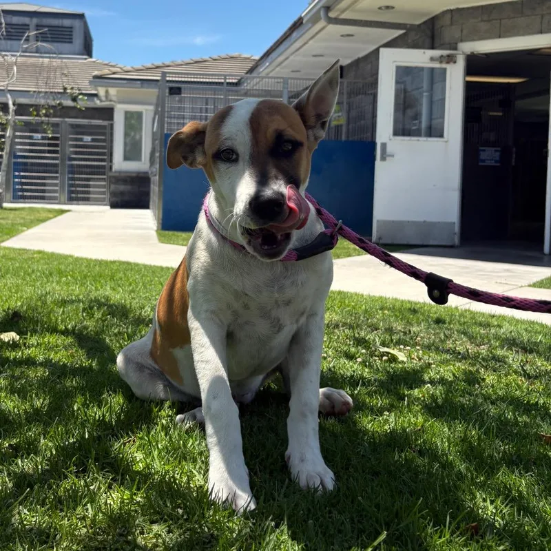 Bailey thumbnail 2