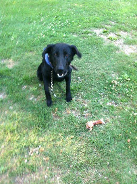 Mia