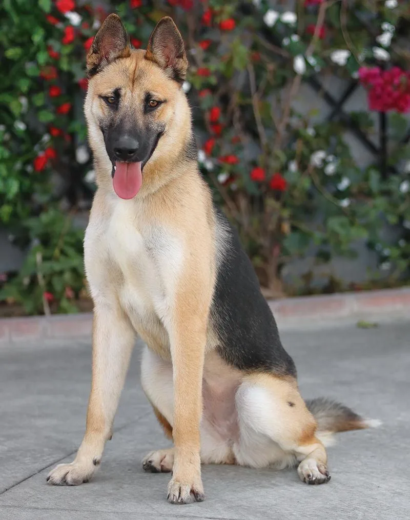 Mija Von Mylau thumbnail 2