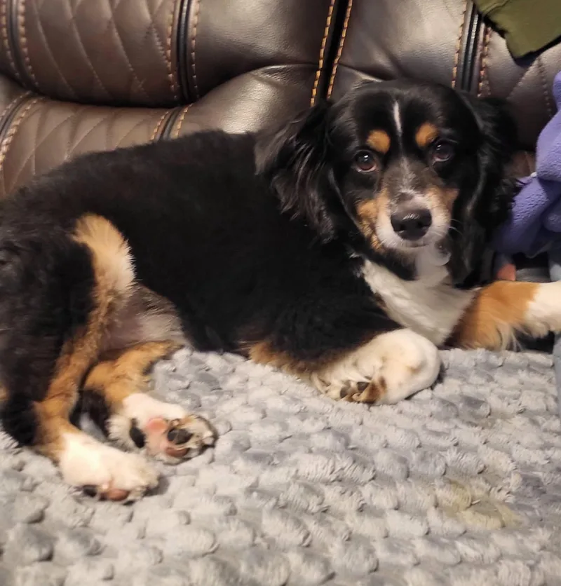 Sadie & Charlie thumbnail 4