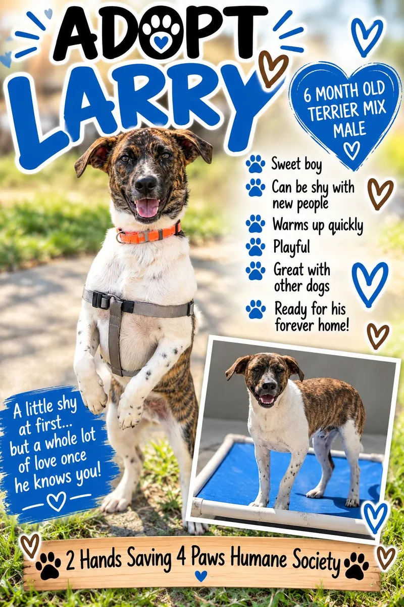 Larry thumbnail 2