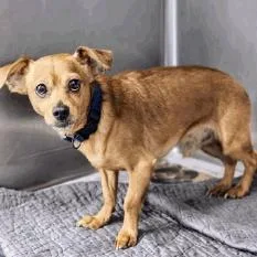 Skeeter D Arriving thumbnail 2