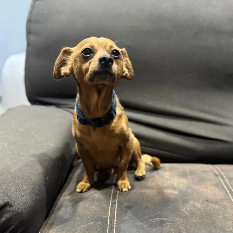 Skeeter D Arriving thumbnail 3