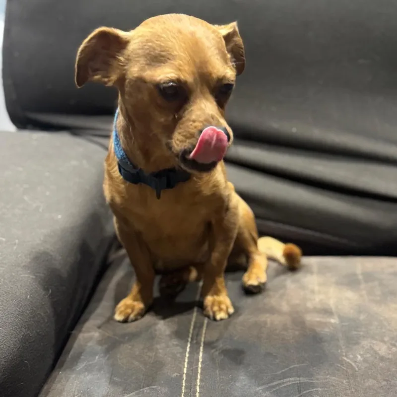 Skeeter D Arriving thumbnail 4