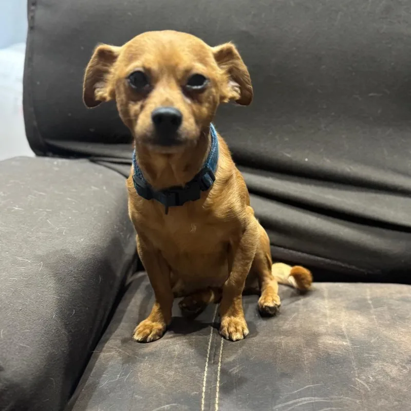 Skeeter D Arriving thumbnail 6